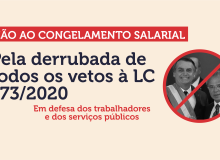 Servidores se unem por derrubada do veto de Bolsonaro que congela salários